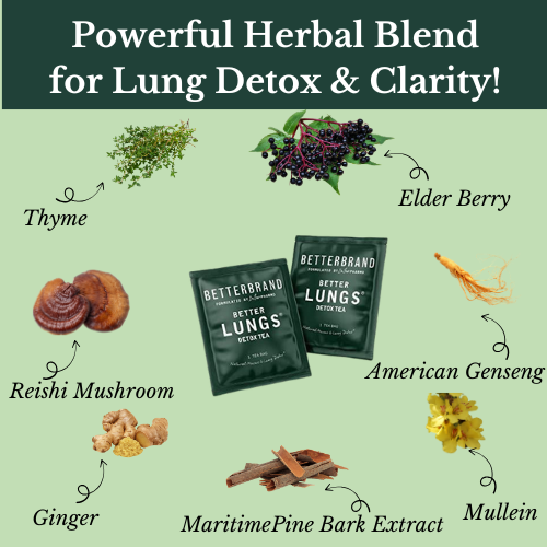 Naturis Lungs Detox Tea